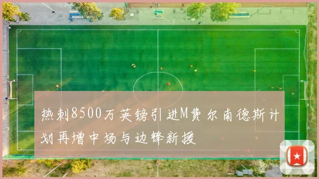 热刺8500万英镑引进M费尔南德斯计划再增中场与边锋新援
