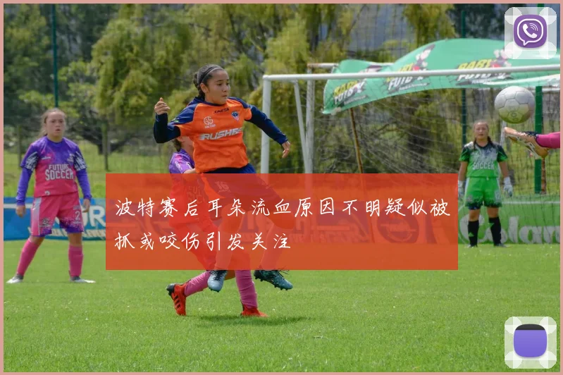 波特赛后耳朵流血原因不明疑似被抓或咬伤引发关注